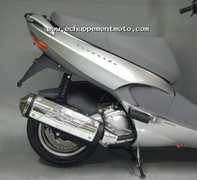 APRILIA LEONARDO 250 Arrow